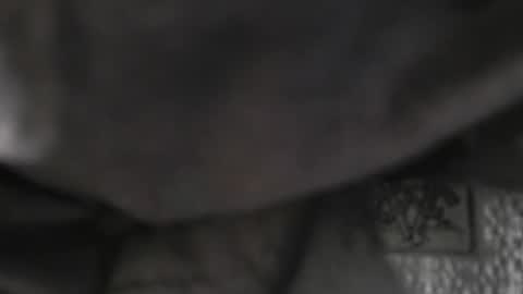 DADDYDICRICO6969 online show from January 18, 10:24 pm