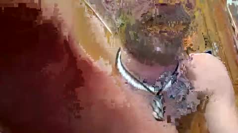 Snapshot of prettysolidd7 chatting on December 2, 2:42 am prettysolidd7 online show from December 2, 2:42 am