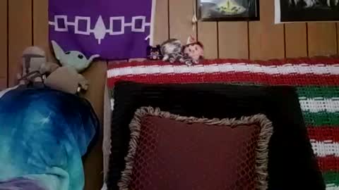 Snapshot of prettysolidd7 chatting on January 4, 6:09 am prettysolidd7 online show from January 4, 6:09 am