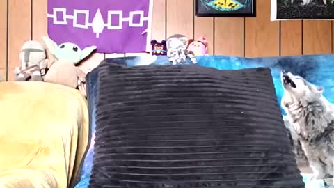 Snapshot of prettysolidd7 chatting on January 5, 2:52 pm prettysolidd7 online show from January 5, 2:52 pm