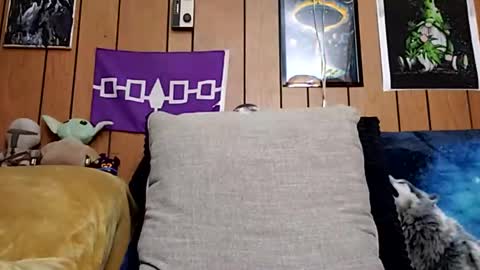 Snapshot of prettysolidd7 chatting on January 27, 10:06 am prettysolidd7 online show from January 27, 10:06 am