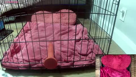 Snapshot of princessjuliaxo4 chatting on February 3, 2:53 am PrIncessJulia0X online show from February 3, 2:53 am