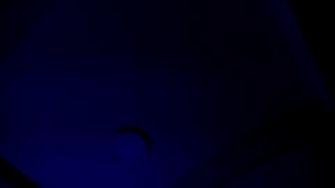 PRISHArMANA online show from February 21, 9:32 pm