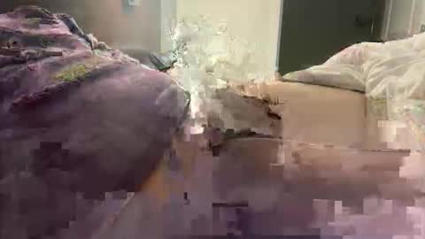 prishpreed23 online show from March 12, 11:38 am