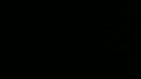 Snapshot of privinicy chatting on February 1, 3:10 pm privinicy online show from February 1, 3:10 pm