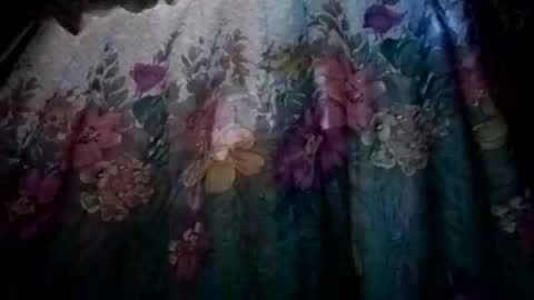 Snapshot of prvive2025 chatting on October 5, 7:34 pm prvive2025 online show from October 5, 7:34 pm