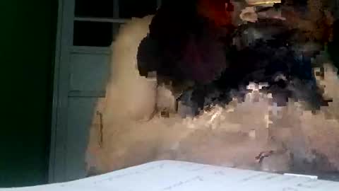 prvive2025 online show from November 8, 8:36 am