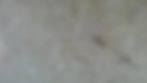 psachno online show from November 10, 12:37 pm