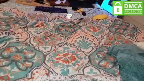 LOVE TO GET MY ASS FUCKED online show from March 9, 5:22 am