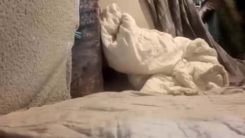 Snapshot of puffingoodtime8345 chatting on September 20, 4:57 am puffingoodtime8345 online show from September 20, 4:57 am