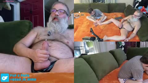 Pup And Papa bear online show from May 23, 1:44 am