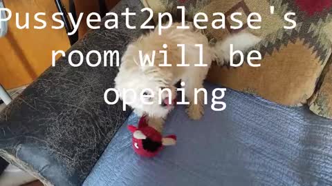 Snapshot of pussyeat2please chatting on February 25, 11:08 am Rick online show from February 25, 11:08 am