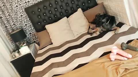 Snapshot of queen_cummer chatting on March 5, 3:29 am Yeng online show from March 5, 3:29 am