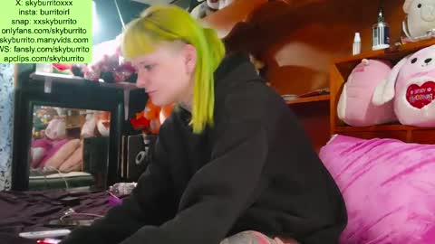 Sky Burrito online show from March 27, 3:23 pm