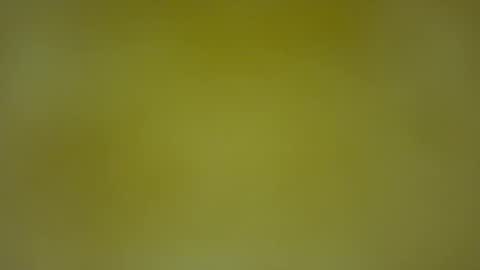 quinnxx online show from February 8, 5:33 am