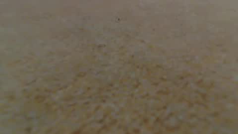 racefliege online show from January 14, 6:02 am