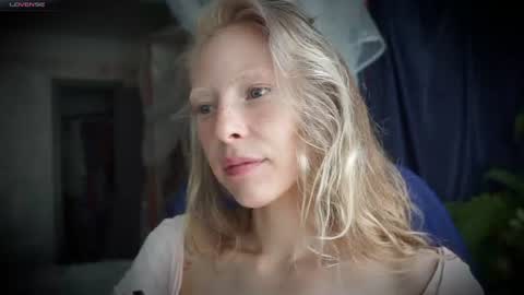 ada online show from August 2, 11:52 am