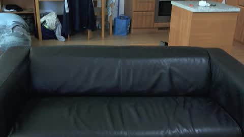 rafaelosteel online show from November 5, 3:56 pm