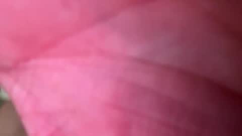 ragerd420 online show from February 24, 11:14 pm