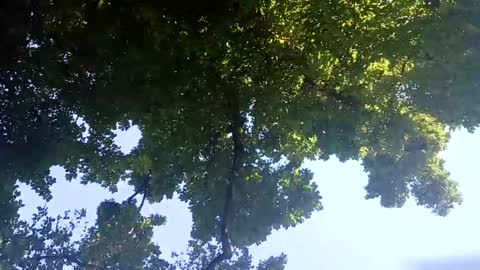 Bigthickdickinvic online show from February 2, 6:26 am