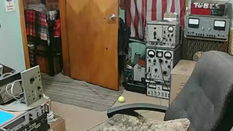 Randall online show from January 18, 3:21 am