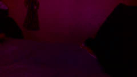 Snapshot of randobad12 chatting on January 18, 10:06 pm randobad12 online show from January 18, 10:06 pm