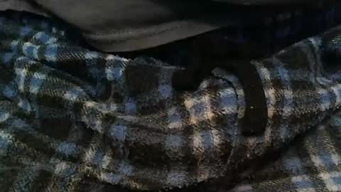 boneifyed online show from November 16, 9:37 am