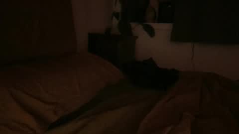 Snapshot of ravenousbttm chatting on February 6, 6:51 am sebas online show from February 6, 6:51 am