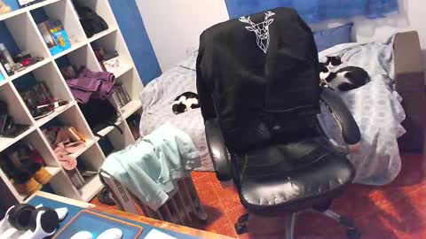 ravingr3d3 online show from February 5, 12:10 pm