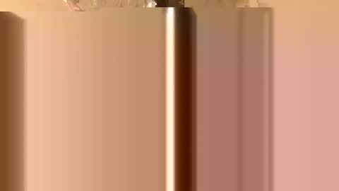 Snapshot of rawdogchewdog chatting on November 26, 2:34 am Mountain Man online show from November 26, 2:34 am