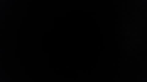 rayolex online show from February 15, 10:22 am