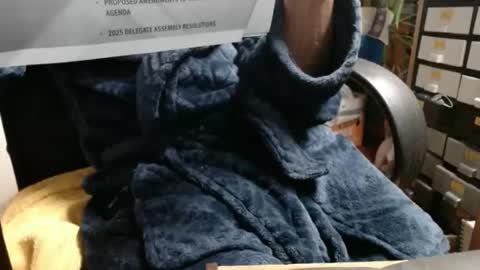 Snapshot of raysmith77777777 chatting on November 23, 3:39 am Ray online show from November 23, 3:39 am