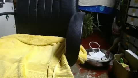 Snapshot of raysmith77777777 chatting on November 27, 1:07 am Ray online show from November 27, 1:07 am