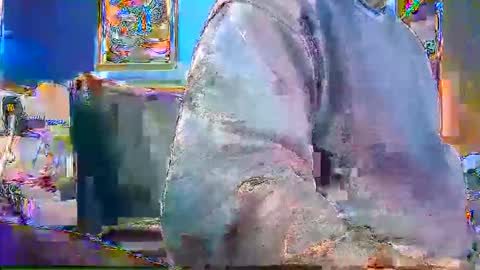 Snapshot of rb69er905364 chatting on December 28, 4:52 pm rb69er905364 online show from December 28, 4:52 pm