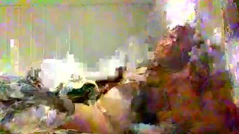 Snapshot of real_viking1 chatting on February 7, 5:49 pm real_viking1 online show from February 7, 5:49 pm