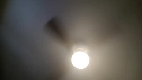 red24devils online show from January 13, 5:44 pm