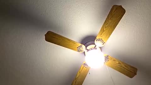 red24devils online show from October 26, 5:41 pm