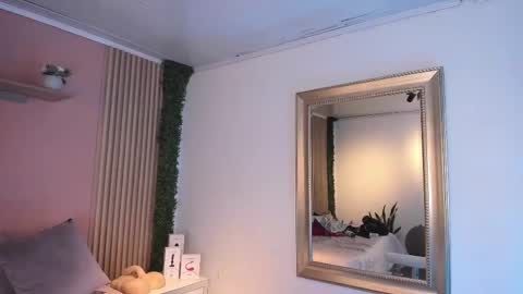 Snapshot of red_velvet____ chatting on February 13, 9:06 pm Stefany online show from February 13, 9:06 pm