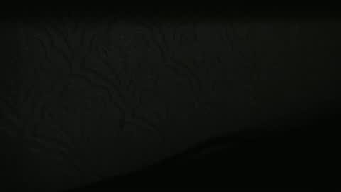 regpubes online show from January 9, 4:32 pm