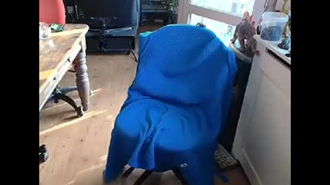 relaxyio online show from March 10, 7:42 am