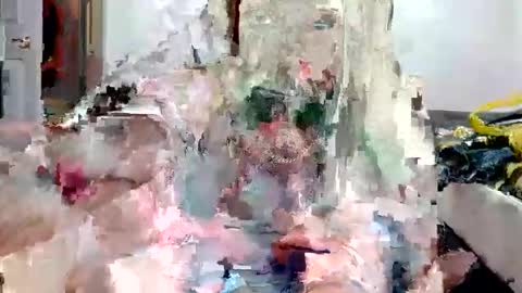 remshotdt online show from December 3, 5:53 am