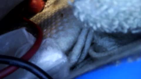 Snapshot of rgglen986 chatting on February 14, 2:36 pm rgglen986 online show from February 14, 2:36 pm