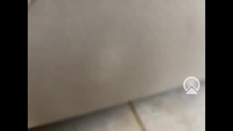 Snapshot of rgoggler2 chatting on January 28, 1:59 pm rgoggler2 online show from January 28, 1:59 pm