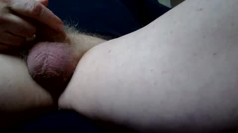 Ridgepole online show from November 10, 12:15 pm