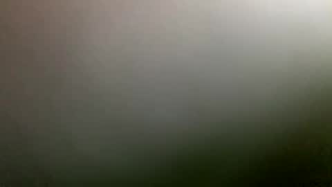 rimzari136 online show from April 4, 4:26 pm