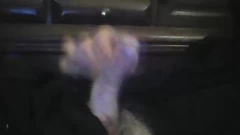 rlpl online show from February 23, 6:05 pm