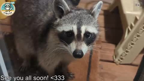 Ryan aka KeylimeRy online show from March 11, 5:52 pm