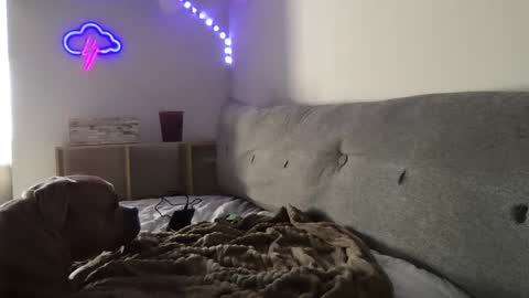 RoastingCorn online show from January 3, 10:29 pm