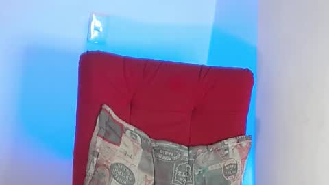 Stiven - online show from February 1, 10:13 pm