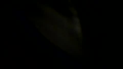 Snapshot of robertsmethurst chatting on May 31, 6:09 pm Johnny online show from May 31, 6:09 pm